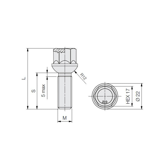M14 x 1.5, Radius 12, 17 Hex